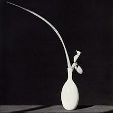 Robert Mapplethorpe