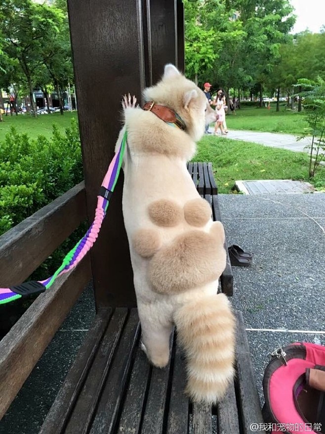在台湾，因为天气热的关系，有个主银帮家里...