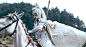 组图：《武神赵子龙》贾青身披银甲气势非凡 : 《武神赵子龙》一组贾青的最新剧照曝光，身披银色铠甲，霸气而不失清新。