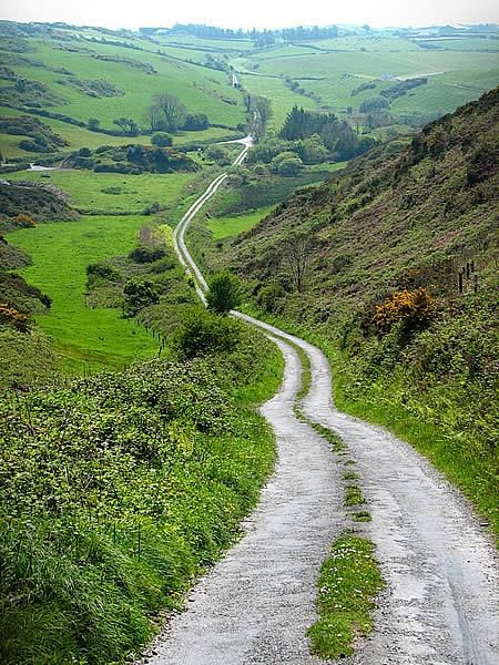 Country Lane, Cork, ...