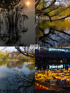 顾奈i采集到摄影参考