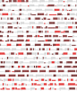 Plagiarized-dissertation-575x676.png (575×676)