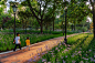 Taipingqiao Park, China by Design Land Collaborative Ltd (DLC) : A Park Revolutionized!
