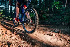 骑自行车的人在泥泞的小道上穿过树林，极限自行车。