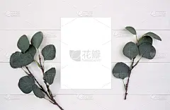 空白纸拷贝空间与模型和树叶在木桌上，海报和邀请，明信片装饰您的设计或品牌，简单和最小，没有人，平面，