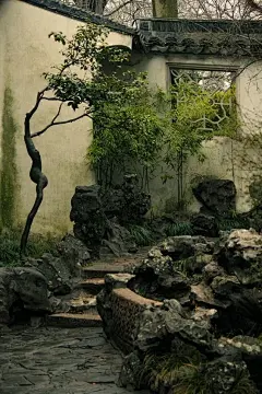 采集图片