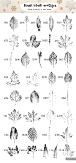 美丽的自然动植物类PS纹理笔刷打包下载[abr]