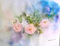 月季花堆～水彩手绘
