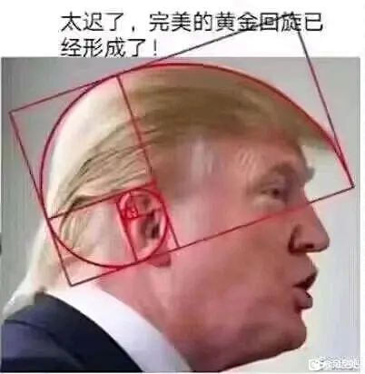 回复：有没有那种看着就特别让人绷不住的图？_吊图吧_百度贴吧-花瓣网
