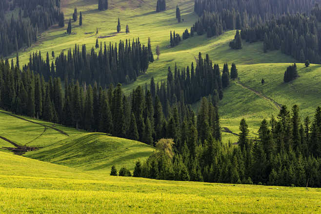 那拉提naratigrassland