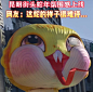 蛇头
这…兔年留下来的？！