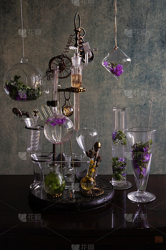 蒸汽朋克玻璃和彩色花蒸馏器