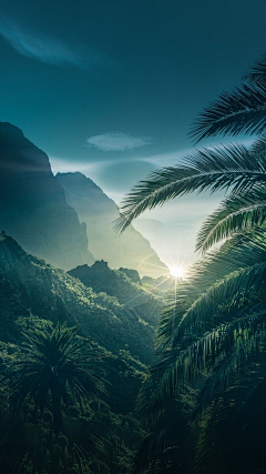 阿严~采集到背景