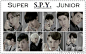 super junior《SPY》