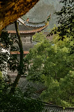 冬日暖阳下的岳麓书院一角摄影照片