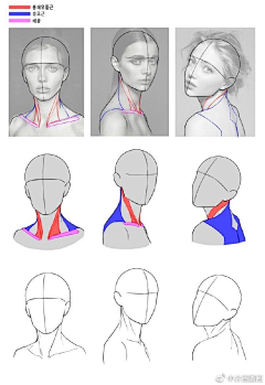 一个人的大风采集到头颈肩结构