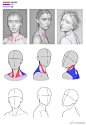 头颈肩关系 . 绘画干货素材
