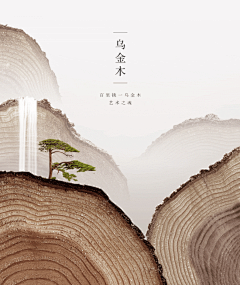 午-册-Toynx采集到文艺范儿