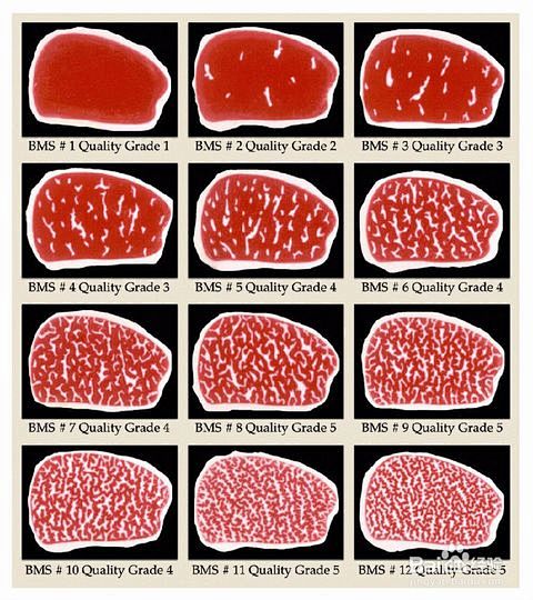 日本和牛等级划分_荤菜_百度经验