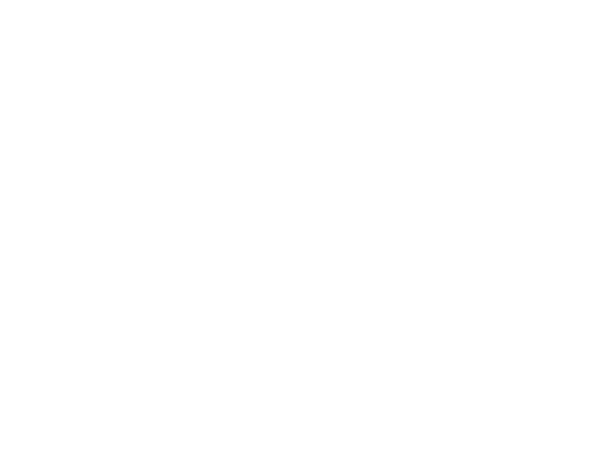 嘉年华
