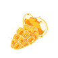 芒果