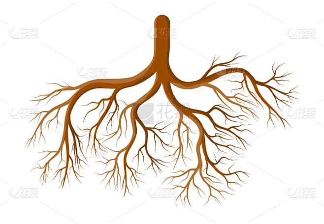 自然美,植物,根部,图标,卡通,模板,品牌名称,设计,绘制素材-花瓣网