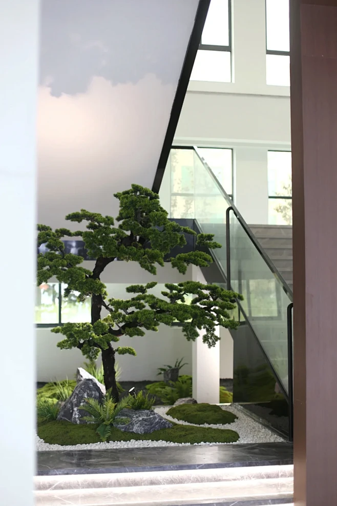 室内罗汉松造景 - 小红书-花瓣网