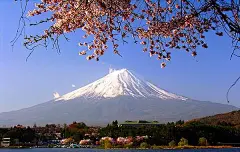 【日韩赏樱花】日本大阪 京都 富士山 横滨 东京 六天游【澳澳往返 日韩节后促销】