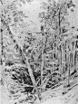 俄罗斯伊凡·伊凡诺维奇·希施金(Ivan I. Shishkin)树林油画作品一