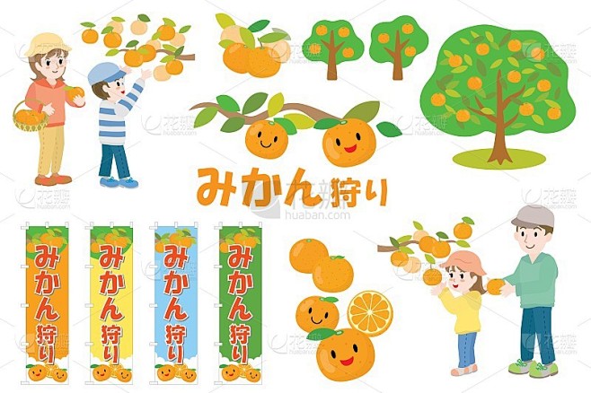 一套日本插图和字母采摘橘子。