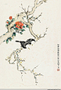 谢月眉工笔花鸟作品欣赏 -  名卷若。江苏常州人。自幼喜绘事，性平淡，词人谢玉岑三妹，画家谢稚柳三姐，终身未嫁，长期随谢稚柳、陈佩秋夫妇寓居上海。善花鸟，早年由恽南田、陈老莲花鸟入手，后上宗宋元工笔画法，所作工笔没骨意写花鸟精微典丽、静美自然、清新高致充满生机。　