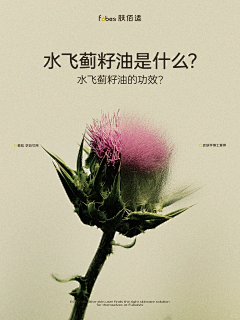 什么都可8888采集到赏容