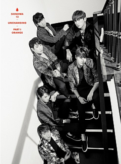 彩色咖啡采集到SHINHWA