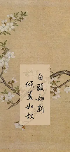 “古风书法系列”手机高清壁纸·图源@Million赵-今日头条-11
