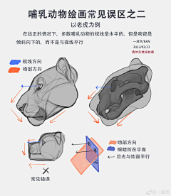 tangchangpu采集到教程