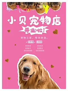 宠物商店海报寄养兽医狗猫粮食柯基美容