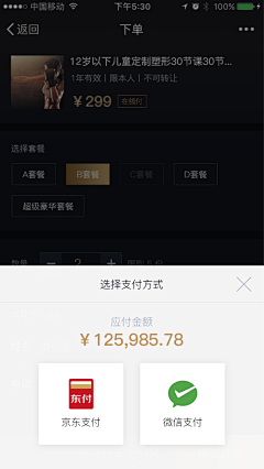 嘉嘉1240采集到APP选择支付方式