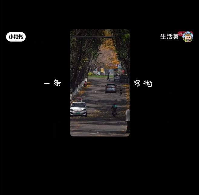 2023我的旅行故事｜被世界小小欢迎了一...