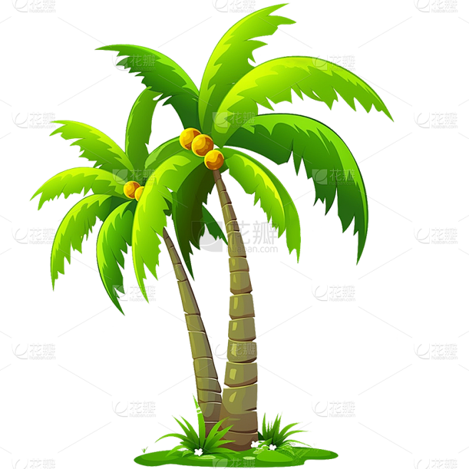 植物通用插画椰子树元素素材