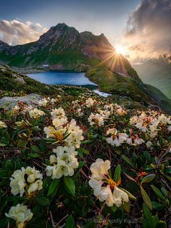 熊默默采集到Nature