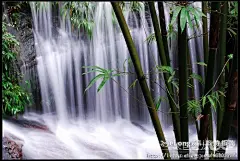 蜀南竹海,阴雨绵绵走蜀南