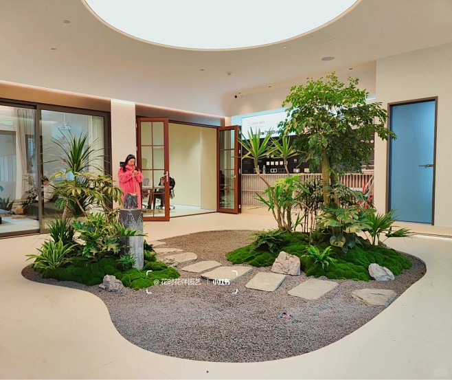 展厅绿植景观‖室内植物造景_3_花时花伴园艺_来自小红书网页版