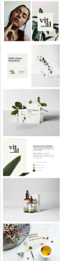 Vital | Brand Identity-古田路9号-品牌创意/版权保护平台