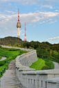 Seoul Tower from Namsan Park 