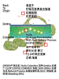 2023 Back to Origin ｜哥伦比亚瑰夏_1_beam timer治光师_来自小红书网页版