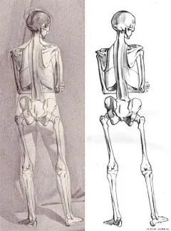 美术生2B青年的微博_微博