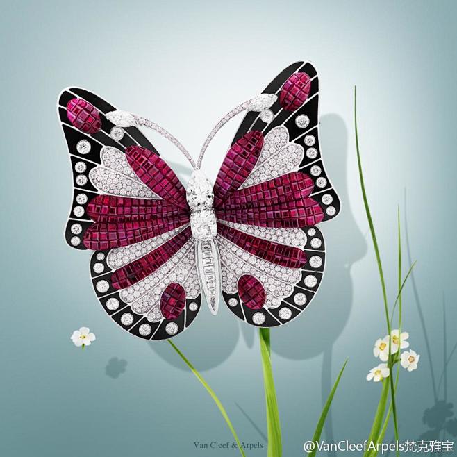 VanCleefArpels梵克雅宝的微...
