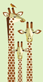 Giraffe family