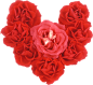 png唯美红色鲜花花卉花朵素材  艺术插画素材 红玫瑰
@冒险家的旅程か★