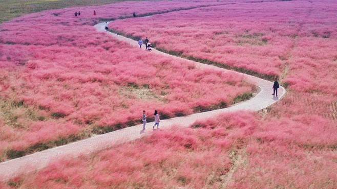 “双节”去哪儿玩？金海街道“双节”假期攻...